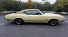 Lively72 olds cutlass 442's Avatar